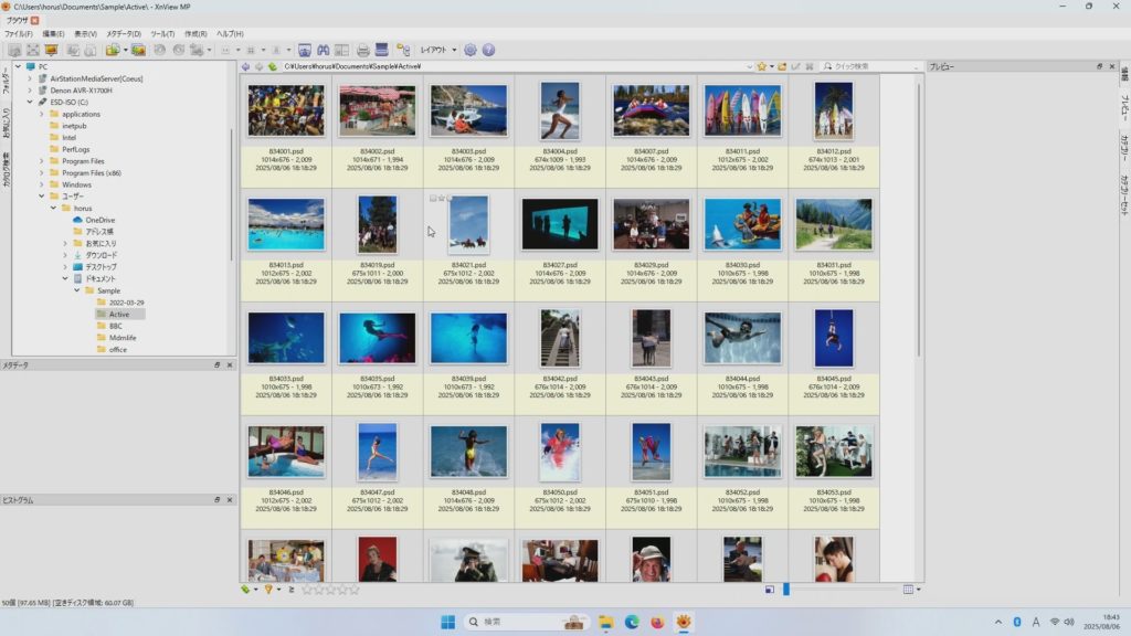 XnView MP プレビュー